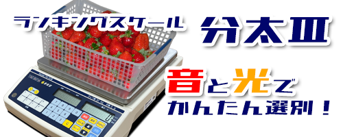 分太Ⅲ