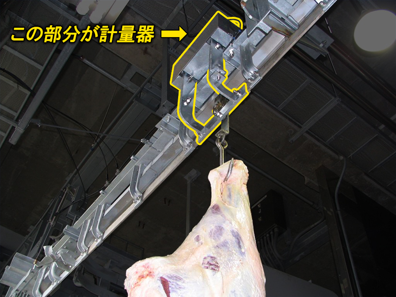 畜産計量器 枝肉計量器 レールスケール RS-400/RS-600