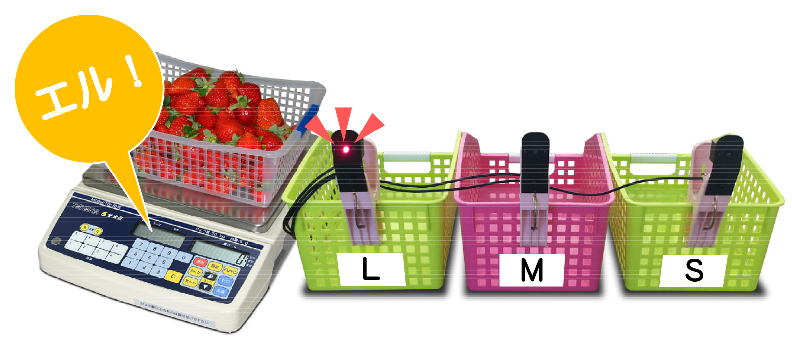 分太Ⅲ 表示ランプ使用例